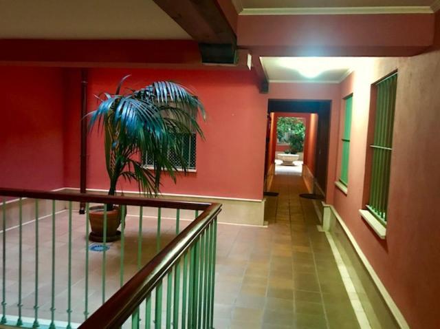 Appartement Centro-casco Antiguo C/sauceda-san Eloy *