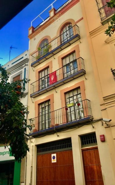 Appartement Centro-casco Antiguo C/sauceda-san Eloy